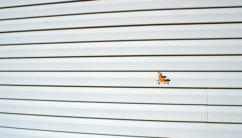 Damaged Cedar Siding