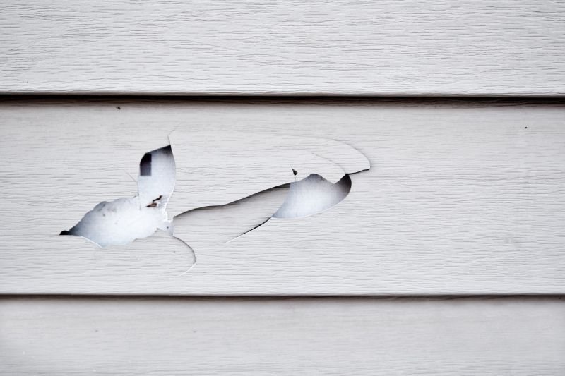 Interior Damage Repair